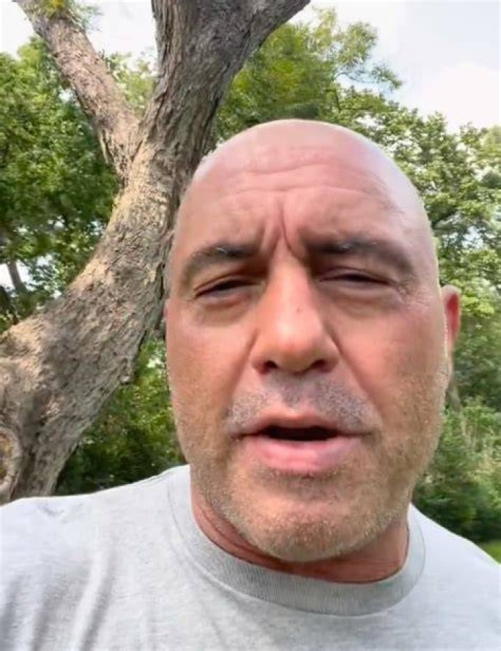 Some pointed out that Rogan has stepped out of the comedy genre with his controversial discourse on COVID-19